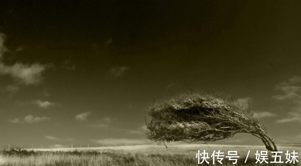 清风|如何抵挡夏日酷热?北宋最狂诗人两首经典,包含大爱,感动又佩服