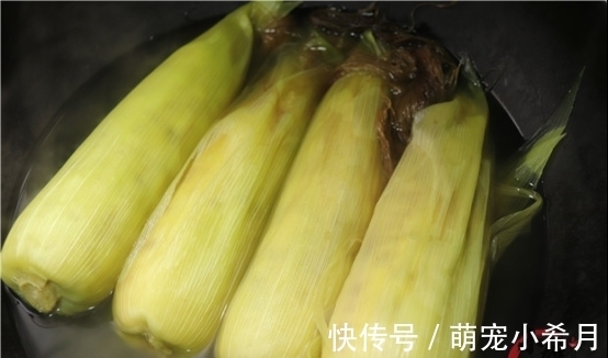 玉米|水煮玉米时，万万不可只用清水！关键2步，玉米香甜又软糯，真香