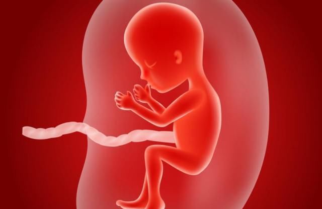 变化|怀孕1~40周，每周身体有何变化？送你一份“孕期清单表”！