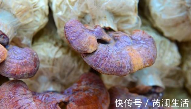 心塞|肝火旺盛,晚上容易失眠,教你2个方法,入睡快睡眠香