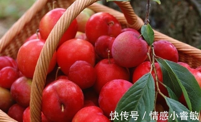 家庭|爷爷的警告:要想出人头地,别和这四类的家庭的人接触,后患无穷