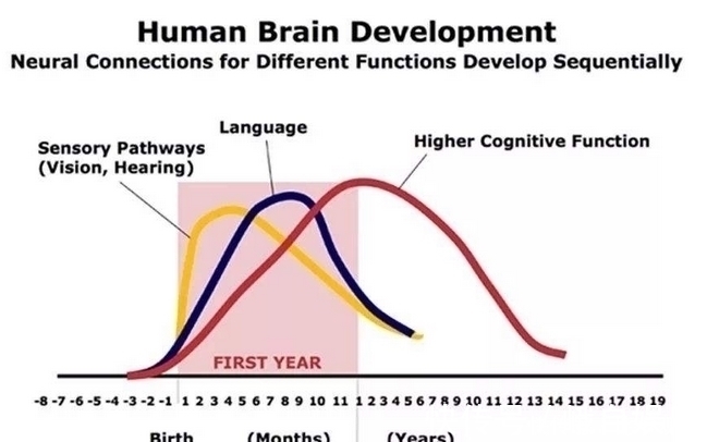 睡眠时间|李玫瑾：孩子睡觉时有这3个举动，暗示大脑发育快，智商会更高