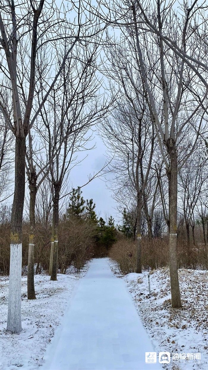 新闻记者|组图｜煮酒温茶，有雪如画 邂逅2021年末这场大雪