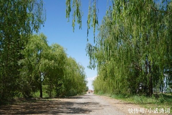 柳树$咏柳诗词何其多，而王观的这首咏柳词却能脱颖而出，它好在哪里？