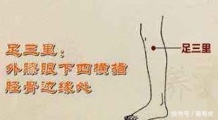 关元穴|人体有10个“超级穴位”,每个都是一味名贵中药,内附高清大图