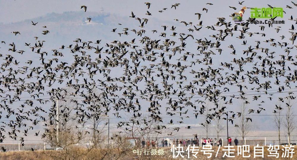 小城|中国最具“泡菜味”的边境小城，不输釜山，美过首尔