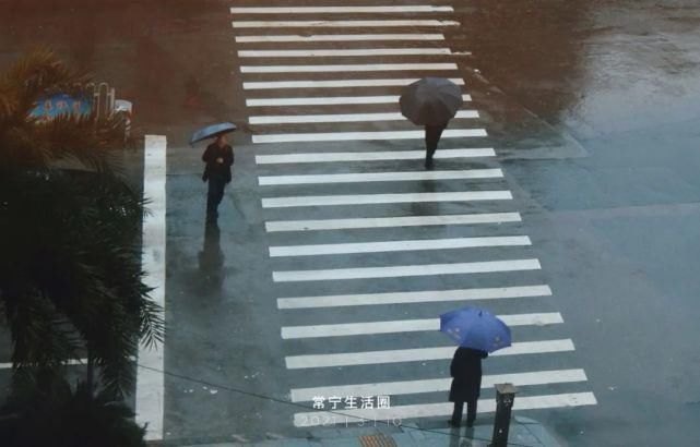 清明雨上，折菊寄相思