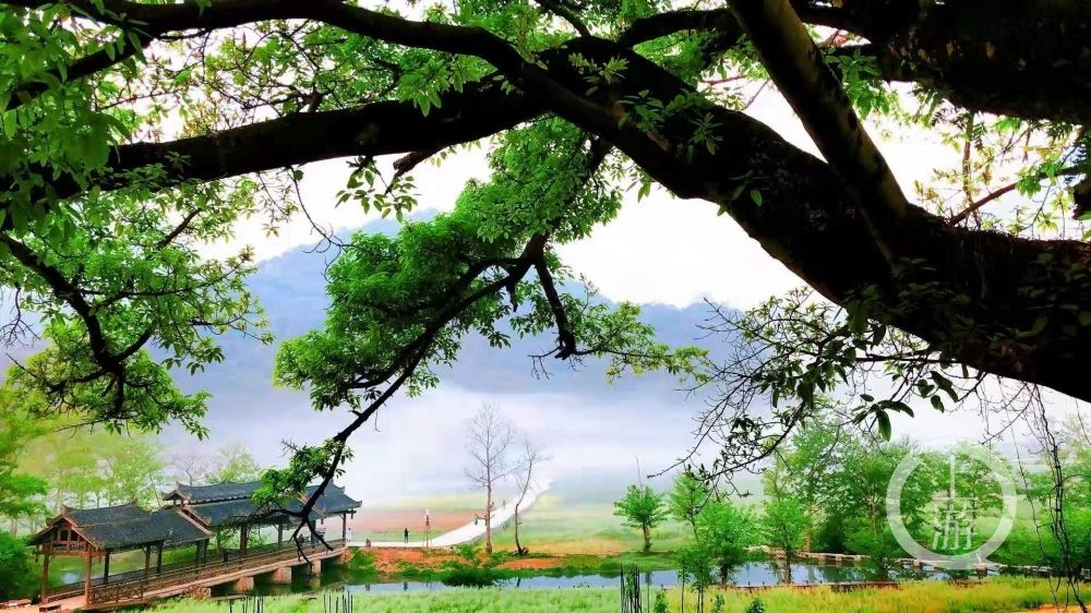云南文山州推荐多条精品文旅线路 暑假可打卡南国草场、世外桃源坝美等景点