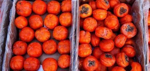  冬枣|最伤身的“水果”，再馋也别任性，很多人却当宝，整箱往家买