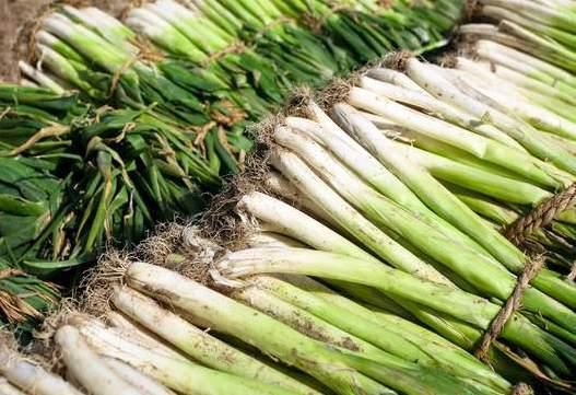 放到|大葱放久了容易干瘪空心,试试用这3种方法保存,放3个月也不坏