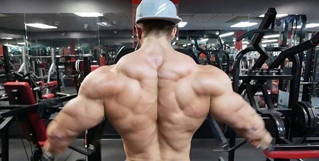 肩部|别再怪自己肩不够宽，是因为你一直忽视这6个王牌动作