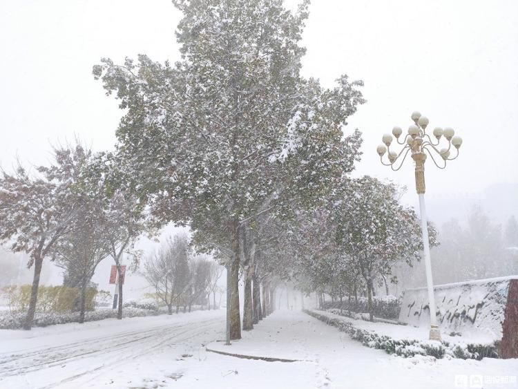 德州&气象live丨积雪深度9厘米！德州迎来今冬第一场雪