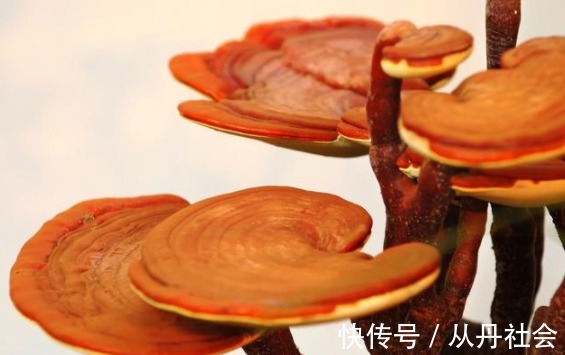 香蕉|肝不好易失眠，常吃“兩果”，多喝“一水”，每晚安睡不夜醒
