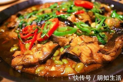 胡子鱼|被人“误解最深”的一条鱼，营养比甲鱼还高，4元一斤，却没人要
