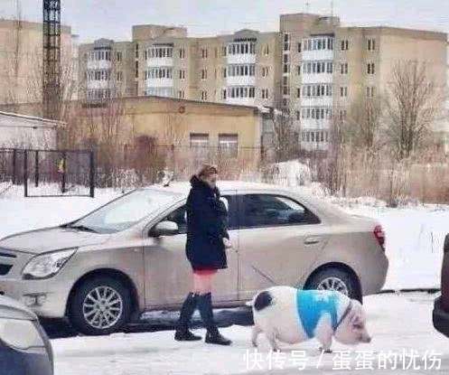 |搞笑图片幽默段子笑话:兄弟,你赢了不少钱么,看你很开心哦