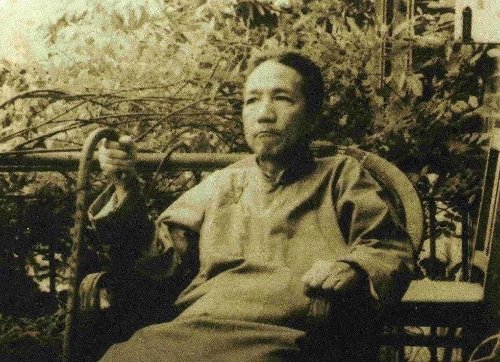 陈寅恪考证华佗是五天外国之音,曹冲称象为假,谬矣!