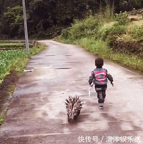 小明|小孩被同学欺负,隔天带了“凶兽”去复仇,老爸知道后赶紧去追