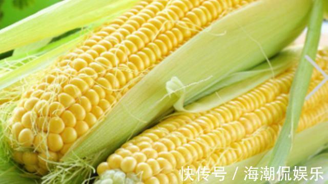 储存|储存玉米，先煮后冻还是先冻后煮做对了，玉米鲜甜如初