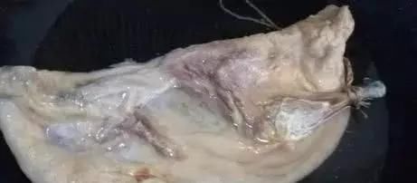 羊肉|入秋后要多吃这肉，比牛羊肉温和，8元1斤每个人都吃得起！