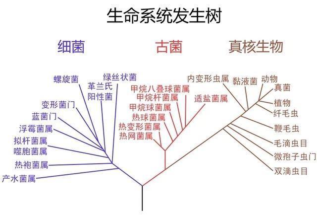 宇航员在太空无法返回 坠落在其它行星上 将诞生一个新的文明 全网搜