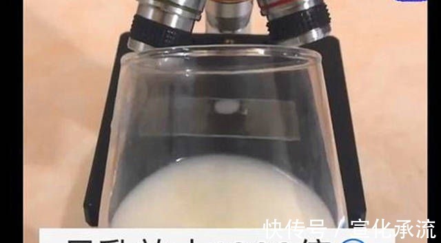 宝妈|显微镜把“母乳”放大1000倍,样子令网友惊叹母爱太神奇