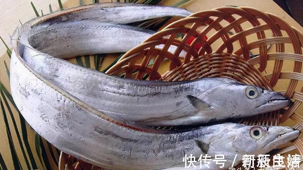 优质蛋白|才知道,这4种鱼营养价值高,市场看见别错过,一次可以多买几斤