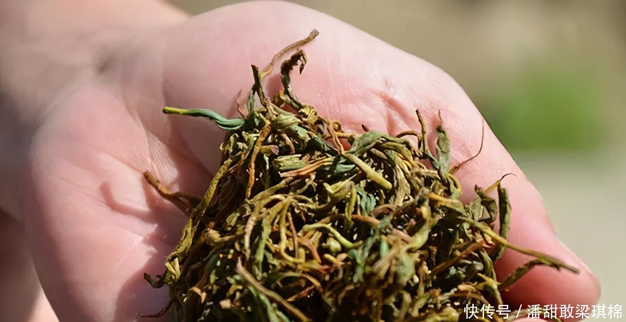 茶汤|一壶汤色亮丽,品性温和的野生红茶,让您喝茶不再将就!