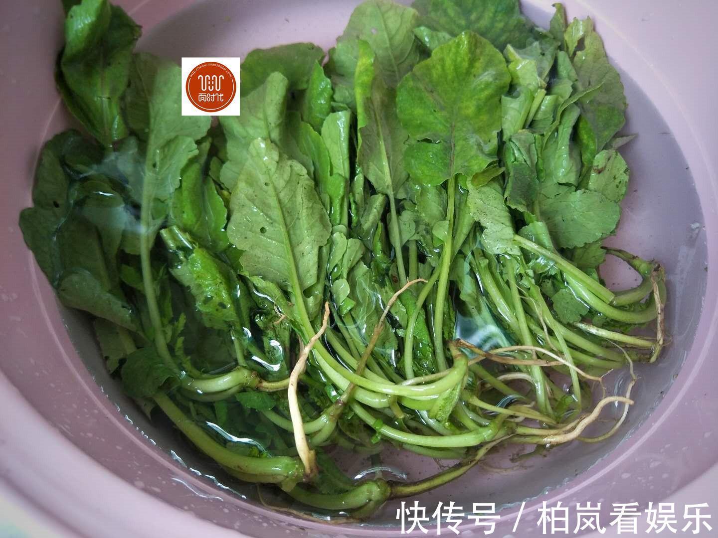 明目|这菜不懂吃可惜了,简单炒一炒,太鲜了,还能明目,提高免疫力!