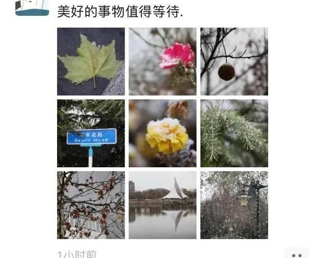 冬天|突如其来的滨医初雪，惊艳这个冬天