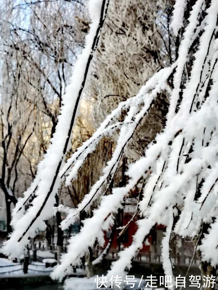 天山脚下的边陲小城，名气虽不及伊犁，但风景美如画