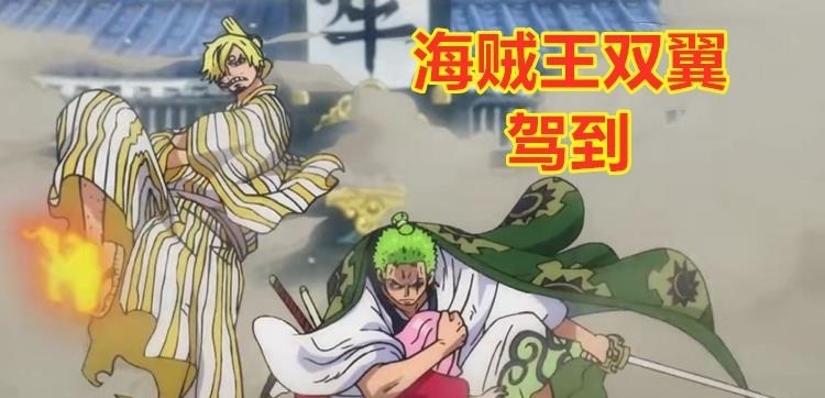山治|海贼王:细数索隆和山治的4个对称点,尾田果然是对称狂魔,厉害