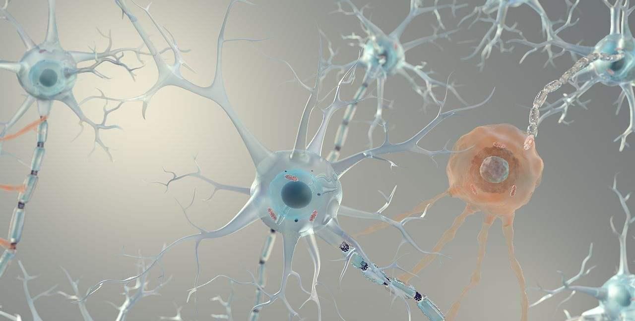 脑细胞|韩国老年痴呆测试一分钟能找到图中的小兔,大脑还灵光着