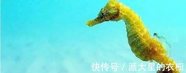 方铅矿|先有鸡还是先有蛋?问题终于被正式解答了告诉你九个有趣的冷知识