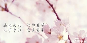 诗歌|中国文学两大源头之一,我国第一部诗歌总集——《诗经》