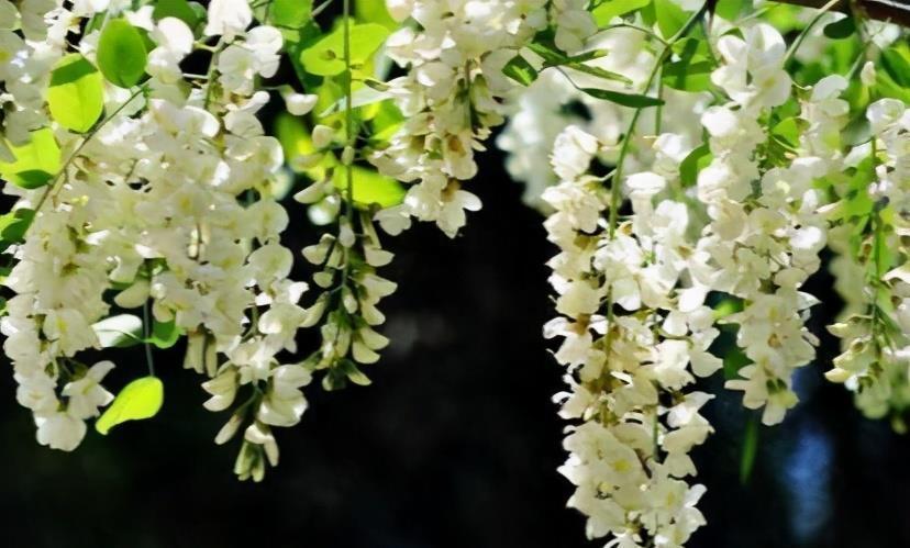 健康|冬天养生要会吃,常吃3种食物,软化血管,降压减脂,好处多多