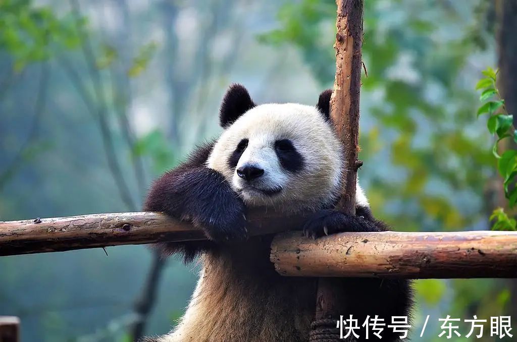 |医生的九大幽默金句,太有才了!