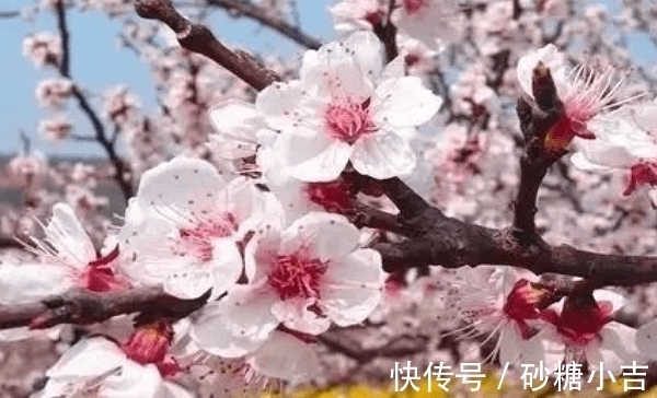 横财|8.29起，好运连连，财运扑面而来，贵人相助，大发横财，生活甜蜜