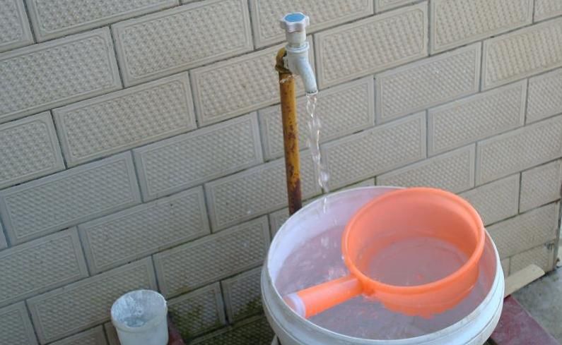 养花浇水是门学问，不讲究迟早要吃大亏，别再随意用了