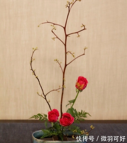 财富|元旦过后运势大涨,财富爆棚,干啥都很顺利三生肖