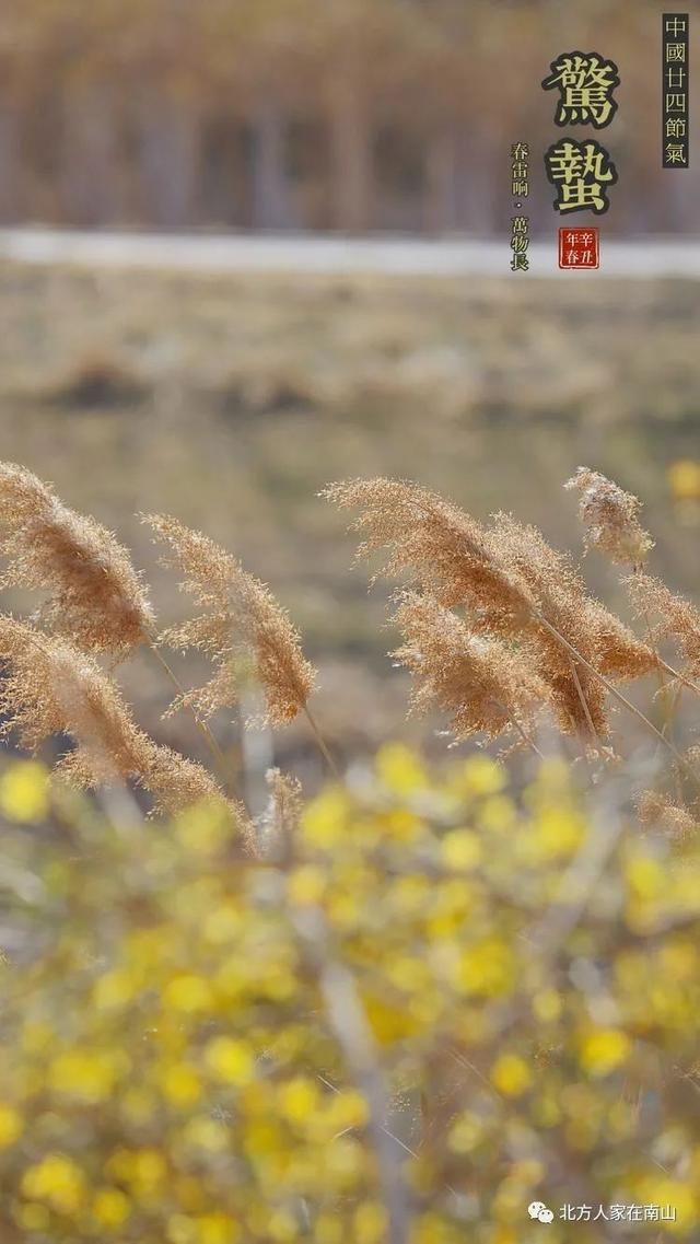 【惊蛰】送你一片春暖花开