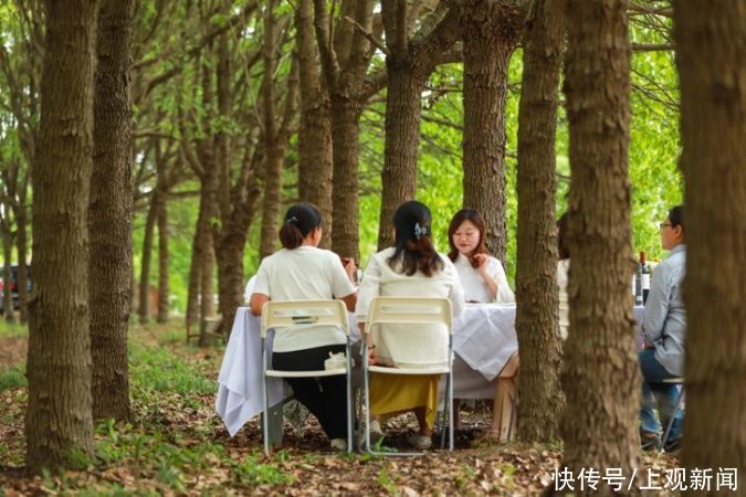 崂山|格桑花田，与你有约！一个月后，我们花田见