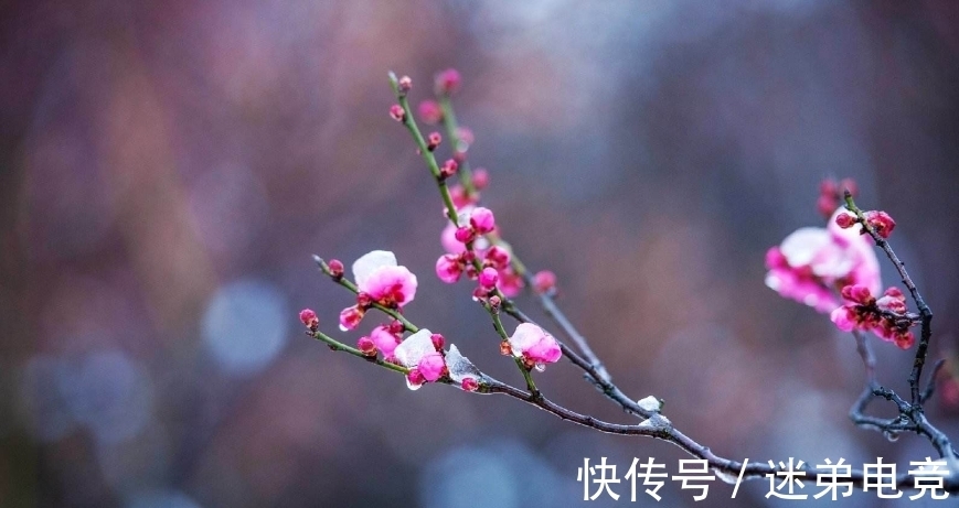 芳蕤&「诗词鉴赏」一年最冷三九天,十首有关三九的诗词,愿你一冬平安