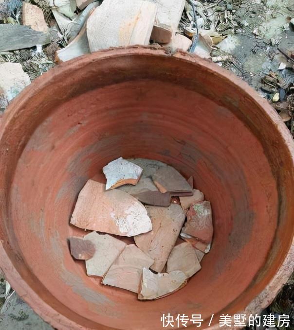 花盆|养花不花钱，花盆放4种“小垃圾”，不怕积水，不再烂根