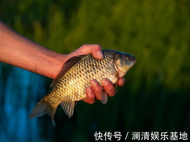 喷洒|蚯蚓钓鱼这样加工,诱钓效果起码翻一倍