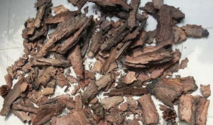 花卉|养花换盆时,多“加”1物,花卉“10年”不烂根,叶子绿,开花多