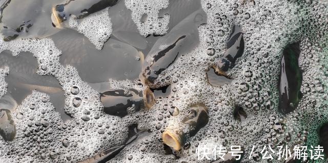 子线的长度将会决定你渔获的多寡,错误的子线用法不仅没口还空军