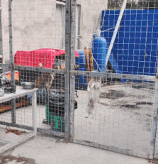 一辆车|搞笑GIF：吓死了！怎么就出来了一辆车呢？