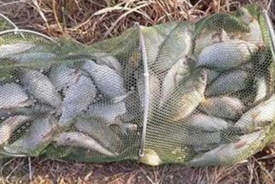 钓友|钓了三十年鱼,如今才公布这选位绝学,莫不信,一般人学不来