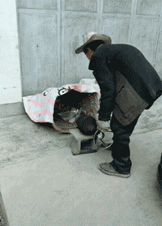 |搞笑gif段子：这像不像周一上班的你！