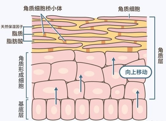 你知道为什么天气一热 肌肤就变黄 斑点明显了？脸上的问题越发明显严重吗？